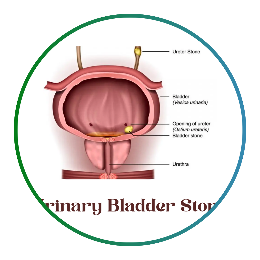 Add a subheading (7)